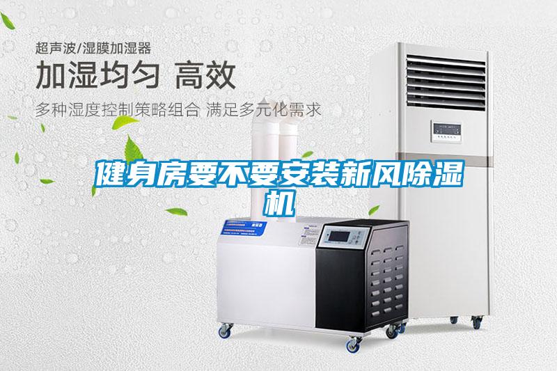 健身房要不要安裝新風91看片在线下载機
