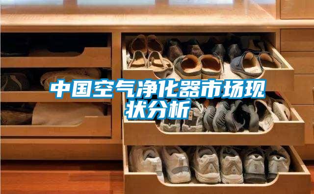 中國空氣淨化器市場現狀分析