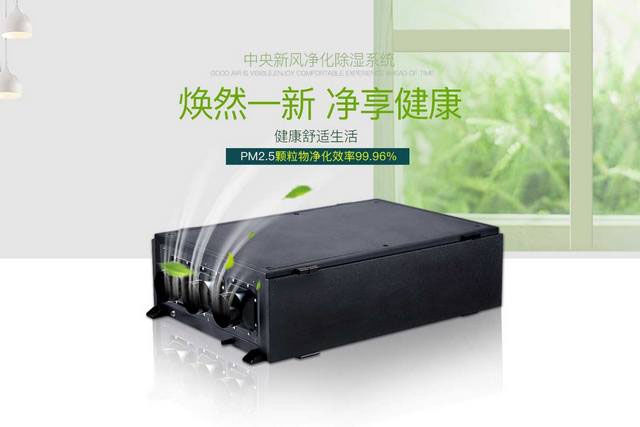 梅雨季潮濕，謹防過敏