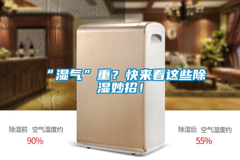 “濕氣”重？快來看這些91看片在线下载妙招！