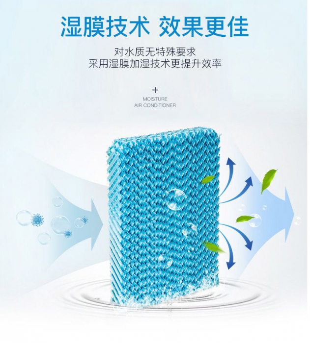為您詳細介紹91看片在线下载器的分類