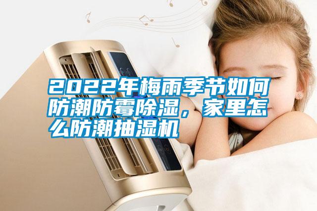 2022年梅雨季節如何防潮防黴91看片在线下载，家裏怎麽防潮抽濕機