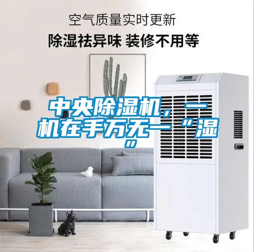 中央91看片在线下载機，一機在手萬無一“濕”