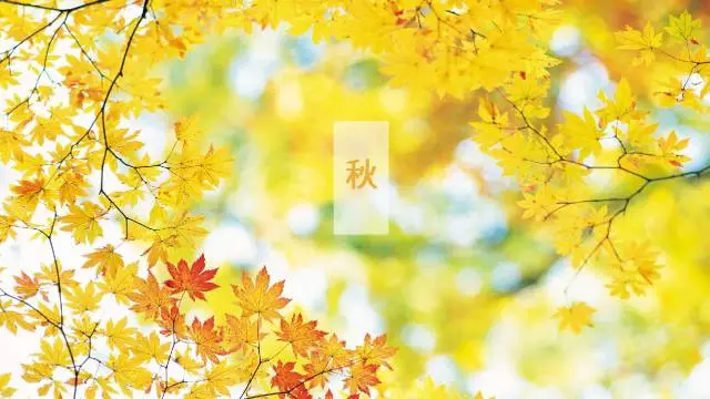 一定要91看片在线下载的10大領域