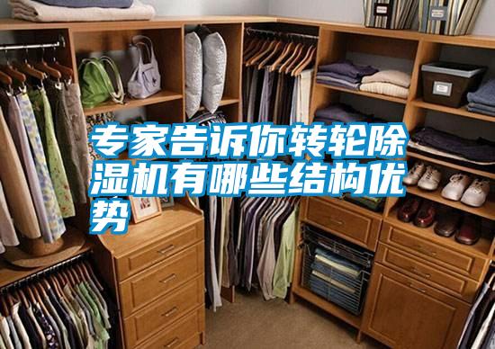 專家告訴你轉輪91看片在线下载機有哪些結構優勢
