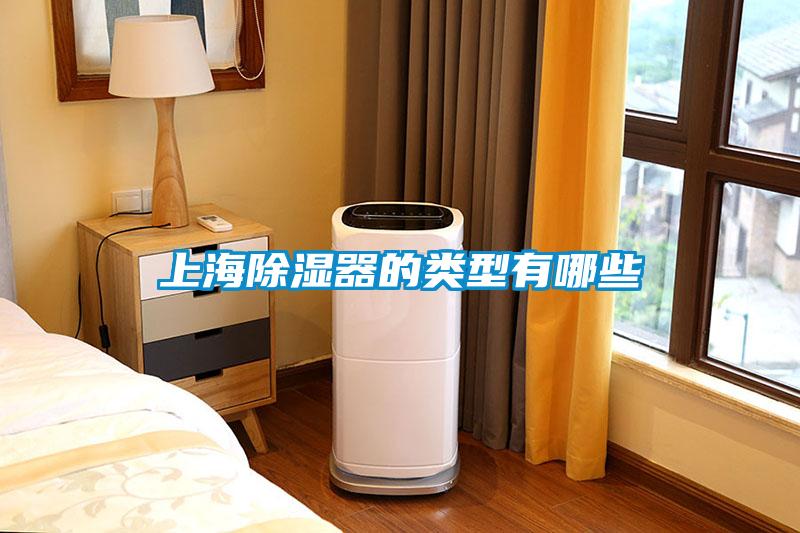 上海91看片在线下载器的類型有哪些
