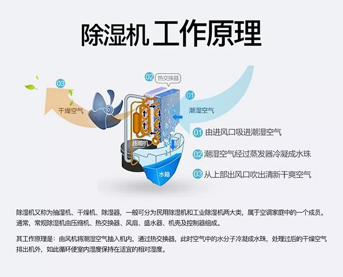 南方梅雨季到了房屋牆壁滲水、返潮怎麽辦？