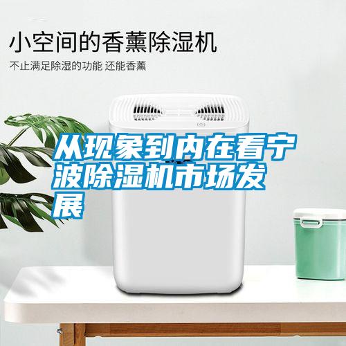 從現象到內在看寧波91看片在线下载機市場發展