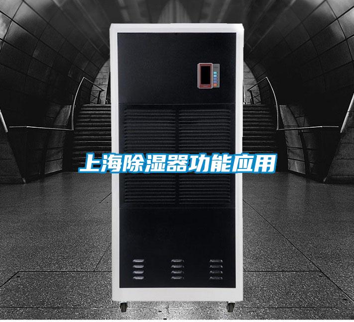 上海91看片在线下载器功能應用