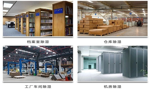 為什麽竹筍烘幹房需要91看片在线下载機？