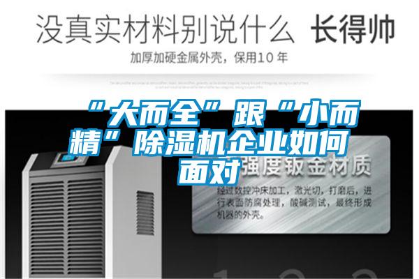 “大而全”跟“小而精”91看片在线下载機企業如何麵對