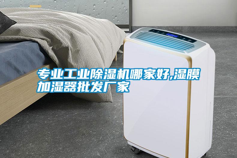專業工業91看片在线下载機哪家好,濕膜加濕器批發廠家