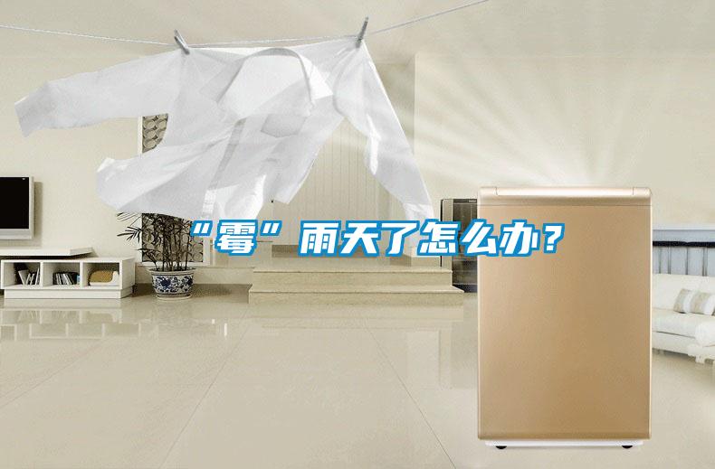 “黴”雨天了怎麽辦？