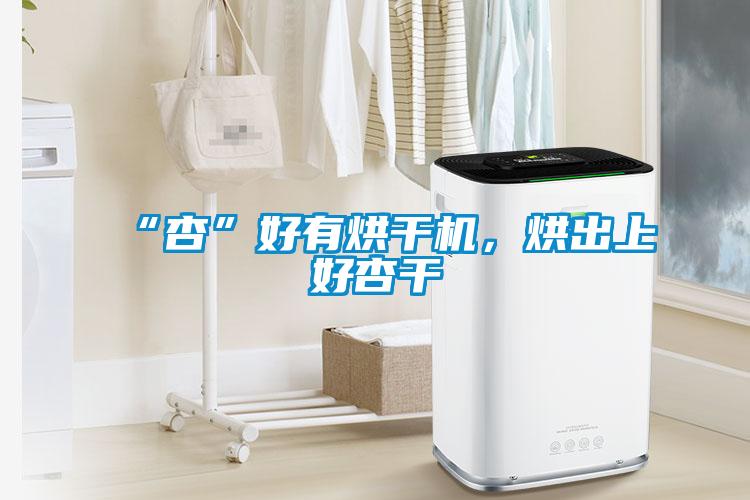 “杏”好有烘幹機，烘出上好杏幹