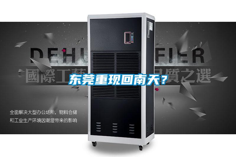 東莞重現回南天？