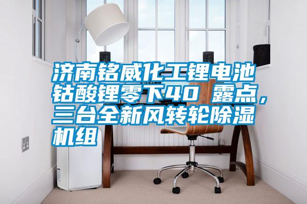 濟南銘威化工鋰電池鈷酸鋰零下40℃露點，三台全新風轉輪91看片在线下载機組