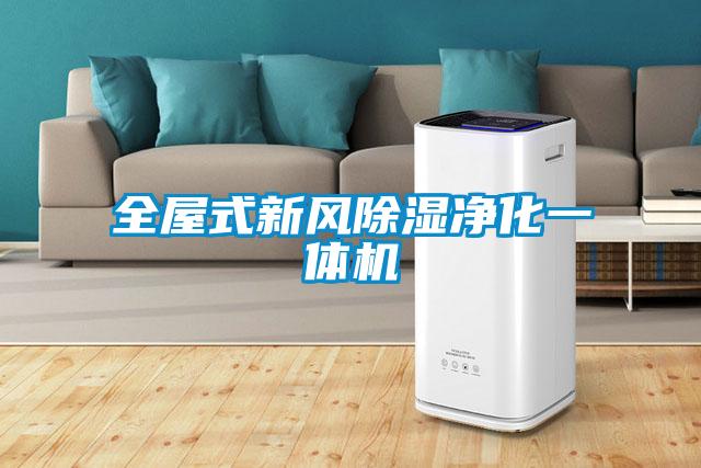 全屋式新風91看片在线下载淨化一體機