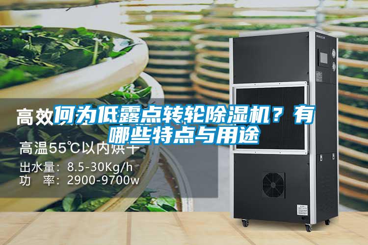 何為低露點轉輪91看片在线下载機？有哪些特點與用途
