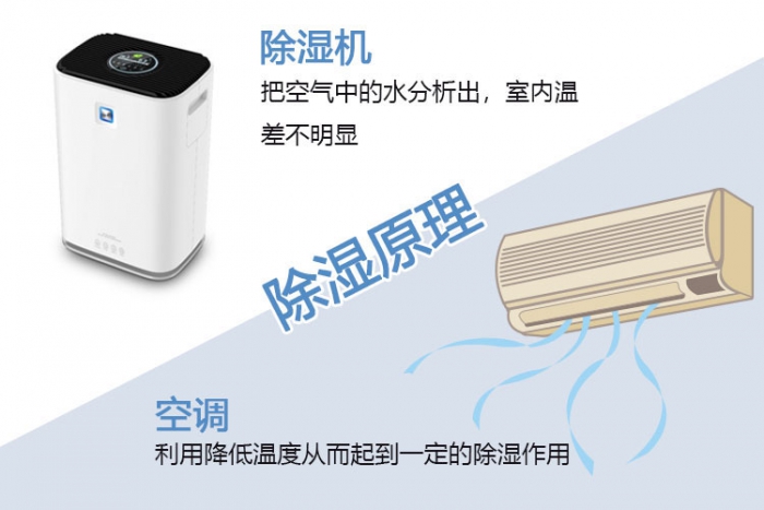 梅雨季——幹燥，不止靠天分，還有實力