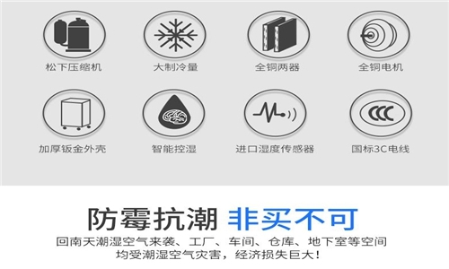 為什麽房子潮濕會有危害？