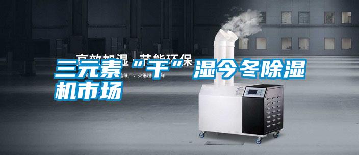 三元素“幹”濕今冬91看片在线下载機市場
