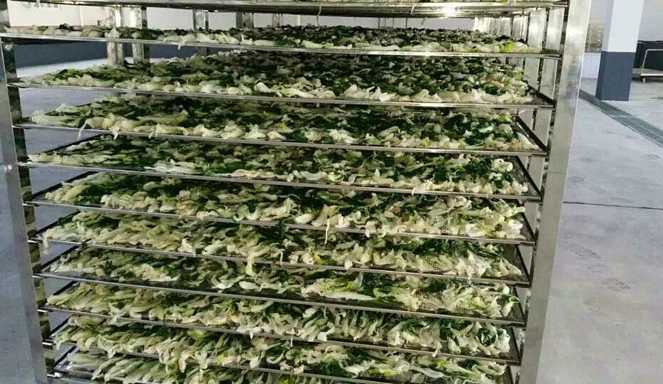 菜幹需求一直都很大，蔬菜烘幹機很有市場