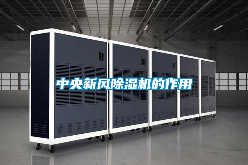 中央新風91看片在线下载機的作用