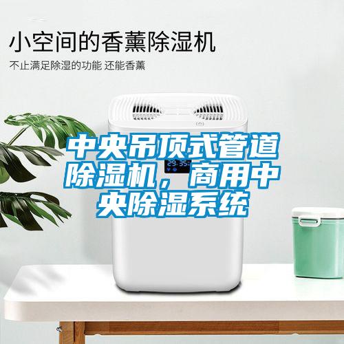 中央吊頂式管道91看片在线下载機，商用中央91看片在线下载係統