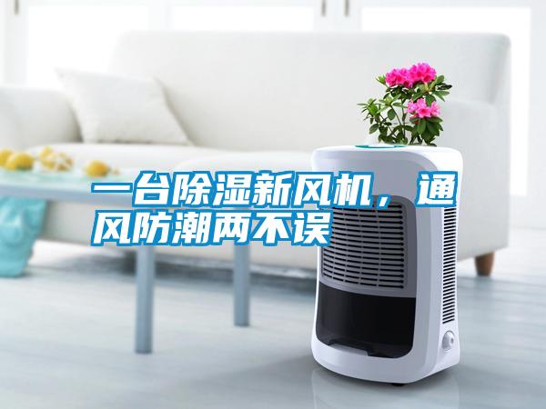 一台91看片在线下载新風機，通風防潮兩不誤