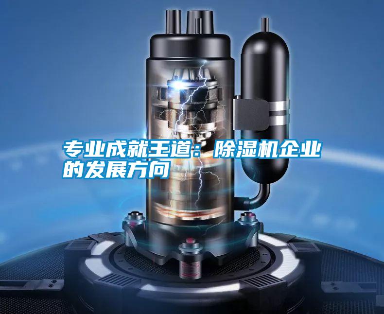 專業成就王道：91看片在线下载機企業的發展方向