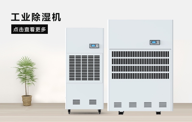 烘幹芒果，芒果幹更省心