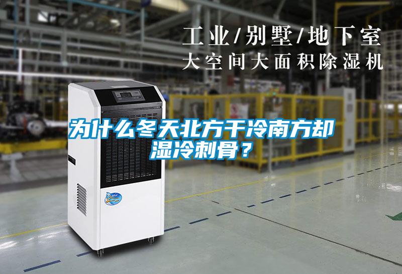 為什麽冬天北方幹冷南方卻濕冷刺骨？