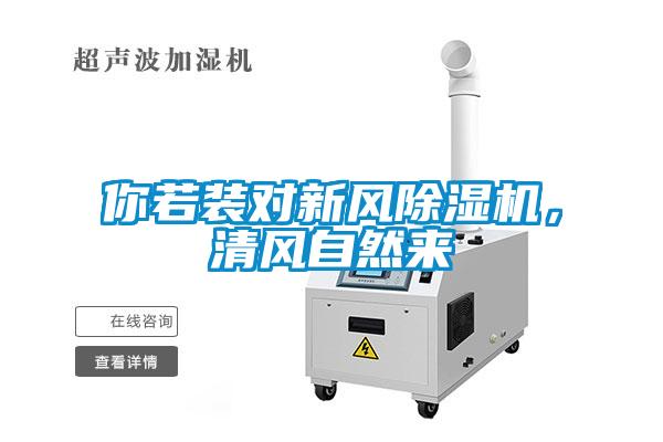 你若裝對新風91看片在线下载機，清風自然來