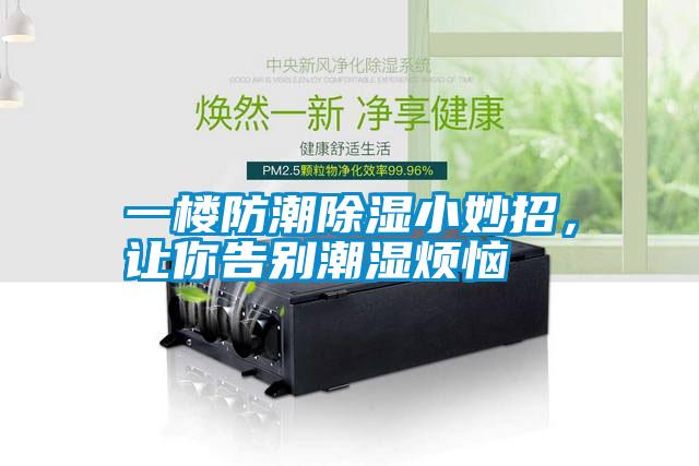 一樓防潮91看片在线下载小妙招，讓你告別潮濕煩惱