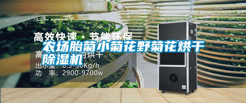 農場胎菊小菊花野菊花烘幹91看片在线下载機