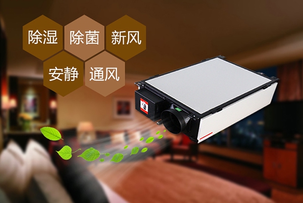 哈密瓜烘幹91看片在线下载機