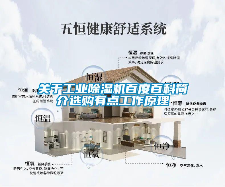 關於工業91看片在线下载機百度百科簡介選購有點工作原理