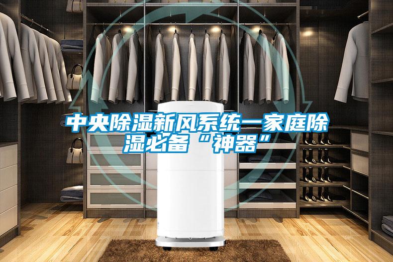 中央91看片在线下载新風係統一家庭91看片在线下载必備“神器”