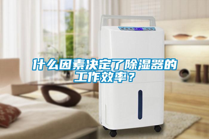 什麽因素決定了91看片在线下载器的工作效率？
