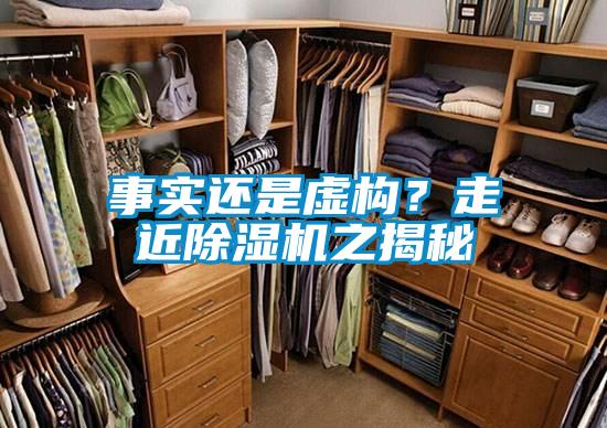 事實還是虛構？走近91看片在线下载機之揭秘