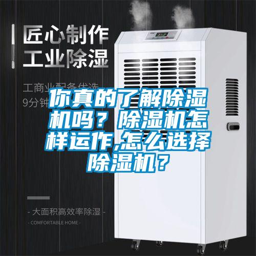 你真的了解91看片在线下载機嗎？91看片在线下载機怎樣運作,怎麽選擇91看片在线下载機？