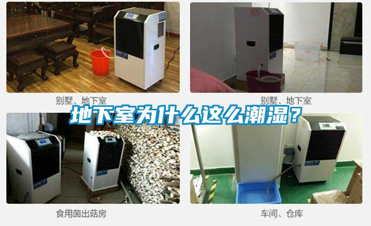 地下室為什麽這麽潮濕？