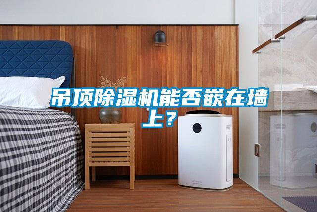 吊頂91看片在线下载機能否嵌在牆上？
