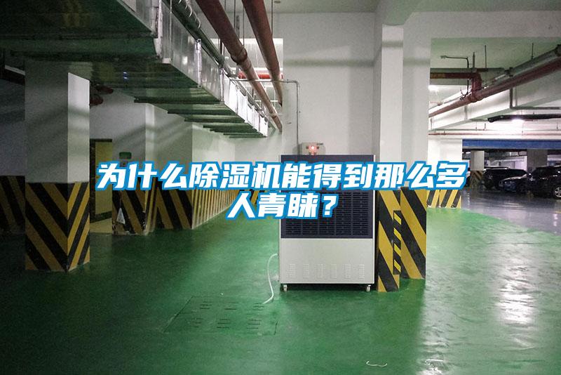 為什麽91看片在线下载機能得到那麽多人青睞？