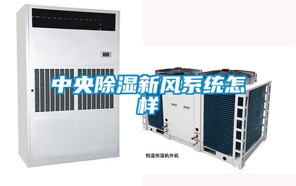 中央91看片在线下载新風係統怎樣