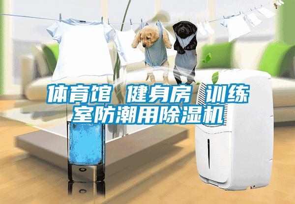 體育館 健身房 訓練室防潮用91看片在线下载機