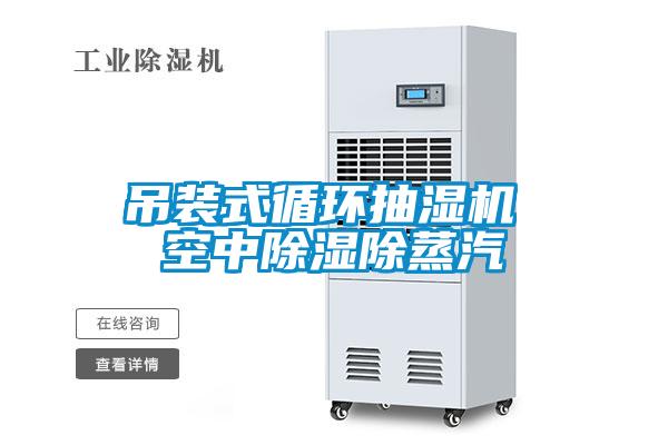 吊裝式循環抽濕機 空中91看片在线下载除蒸汽