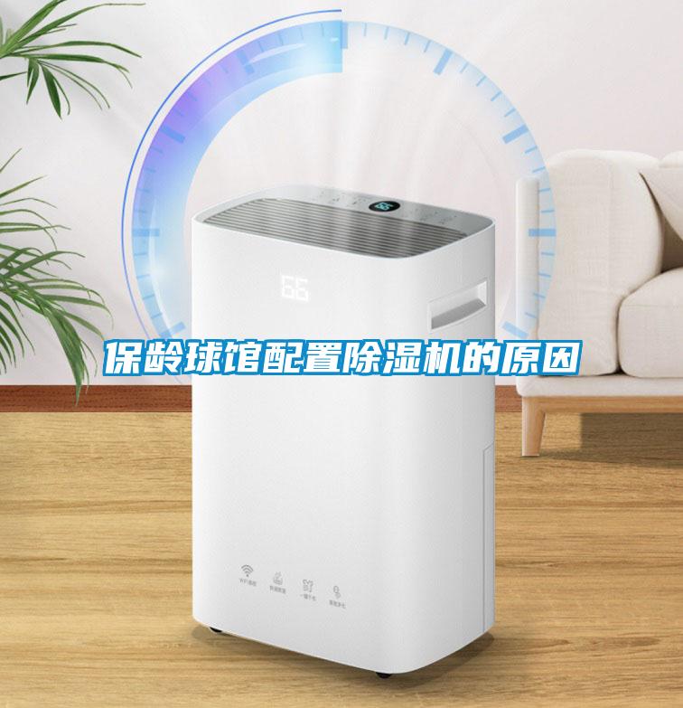 保齡球館配置91看片在线下载機的原因