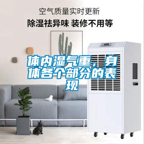 體內濕氣重，身體各個部分的表現