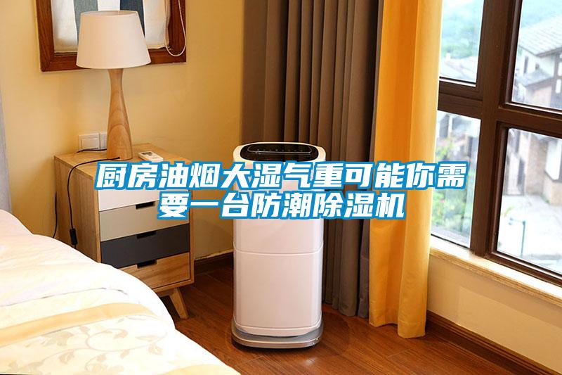 廚房油煙大濕氣重可能你需要一台防潮91看片在线下载機